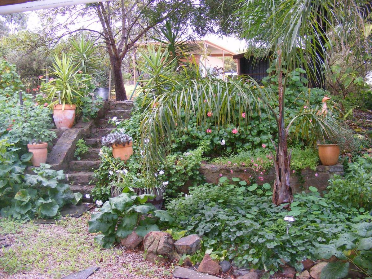 Trevalia Accommodation Penwortham ภายนอก รูปภาพ